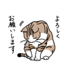 猫の幸せな毎日スタンプ（個別スタンプ：32）