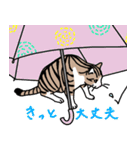 猫の幸せな毎日スタンプ（個別スタンプ：37）