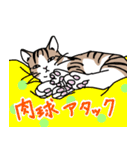 猫の幸せな毎日スタンプ（個別スタンプ：38）