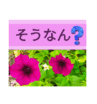 日本東海西日本方言そう？花画№10デカ文字（個別スタンプ：3）