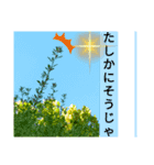 日本東海西日本方言そう？花画№10デカ文字（個別スタンプ：7）