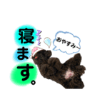 ノア スタンプ（個別スタンプ：3）