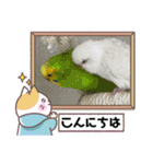 ゆきちゃん宅スタンプ34（個別スタンプ：10）