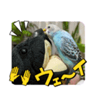 ゆきちゃん宅スタンプ34（個別スタンプ：13）
