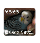 ゆきちゃん宅スタンプ34（個別スタンプ：23）