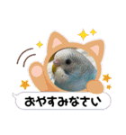 ゆきちゃん宅スタンプ34（個別スタンプ：24）