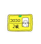 ゴマくん21（個別スタンプ：1）