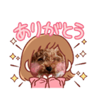 プードル犬マロン5（個別スタンプ：1）