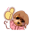プードル犬マロン5（個別スタンプ：4）