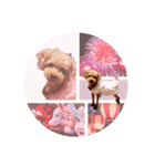 プードル犬マロン5（個別スタンプ：23）