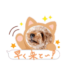 プードル犬マロン5（個別スタンプ：26）