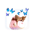 プードル犬マロン5（個別スタンプ：30）