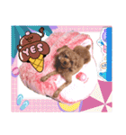 プードル犬マロン5（個別スタンプ：31）