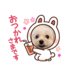 2022.7.31 Mahalo（個別スタンプ：6）