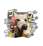 おもちちゃんのキモチ（個別スタンプ：4）