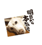 おもちちゃんのキモチ（個別スタンプ：5）