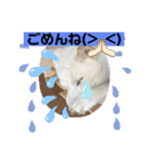 おもちちゃんのキモチ（個別スタンプ：6）