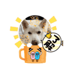 おもちちゃんのキモチ（個別スタンプ：9）