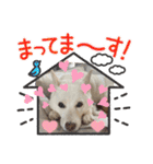 おもちちゃんのキモチ（個別スタンプ：11）