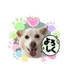 おもちちゃんのキモチ（個別スタンプ：17）