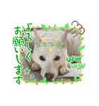 おもちちゃんのキモチ（個別スタンプ：18）