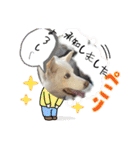 おもちちゃんのキモチ（個別スタンプ：20）
