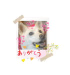 おもちちゃんのキモチ（個別スタンプ：21）
