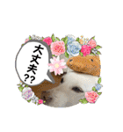 おもちちゃんのキモチ（個別スタンプ：23）