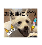 おもちちゃんのキモチ（個別スタンプ：24）