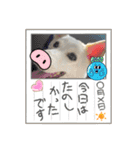 おもちちゃんのキモチ（個別スタンプ：27）