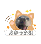 おもちちゃんのキモチ（個別スタンプ：30）