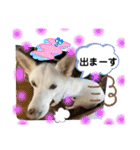 おもちちゃんのキモチ（個別スタンプ：31）