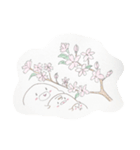 だいふくとお花（個別スタンプ：8）