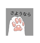 子猫 子猫 子猫（個別スタンプ：1）