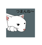 子猫 子猫 子猫（個別スタンプ：8）