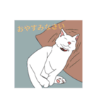 子猫 子猫 子猫（個別スタンプ：10）