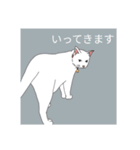 子猫 子猫 子猫（個別スタンプ：11）