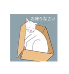 子猫 子猫 子猫（個別スタンプ：16）