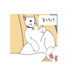 子猫 子猫 子猫（個別スタンプ：18）