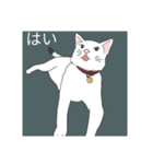 子猫 子猫 子猫（個別スタンプ：19）