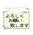 毎日使えるリアル猫の大人お花バージョン（個別スタンプ：22）