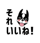 【あいさつ】ボステリのピートの日常（個別スタンプ：9）