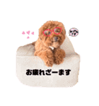 ノエたん♡ 7（個別スタンプ：5）