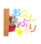 チョコちゃんスタンプ♡*(日常系2)（個別スタンプ：5）