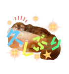 チョコちゃんスタンプ♡*(日常系2)（個別スタンプ：6）