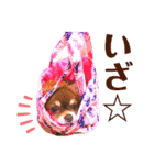 チョコちゃんスタンプ♡*(日常系2)（個別スタンプ：9）