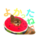 チョコちゃんスタンプ♡*(日常系2)（個別スタンプ：16）