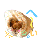 チョコちゃんスタンプ♡*(日常系2)（個別スタンプ：17）