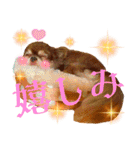チョコちゃんスタンプ♡*(日常系2)（個別スタンプ：24）