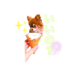 チョコちゃんスタンプ♡*(日常系2)（個別スタンプ：25）